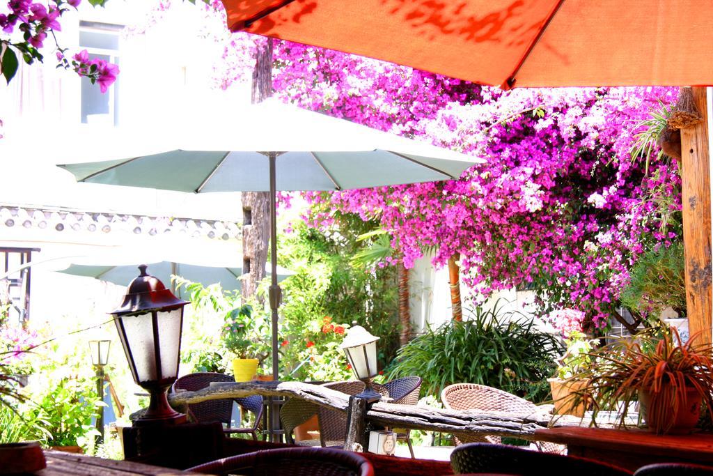 La Maison Du Laoshay Lijiang Lệ Giang Ngoại thất bức ảnh